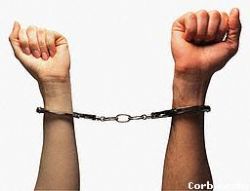 THE ROLE OF THE INTERNATIONAL COMMUNITY